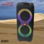 კარაოკე დინამიკი