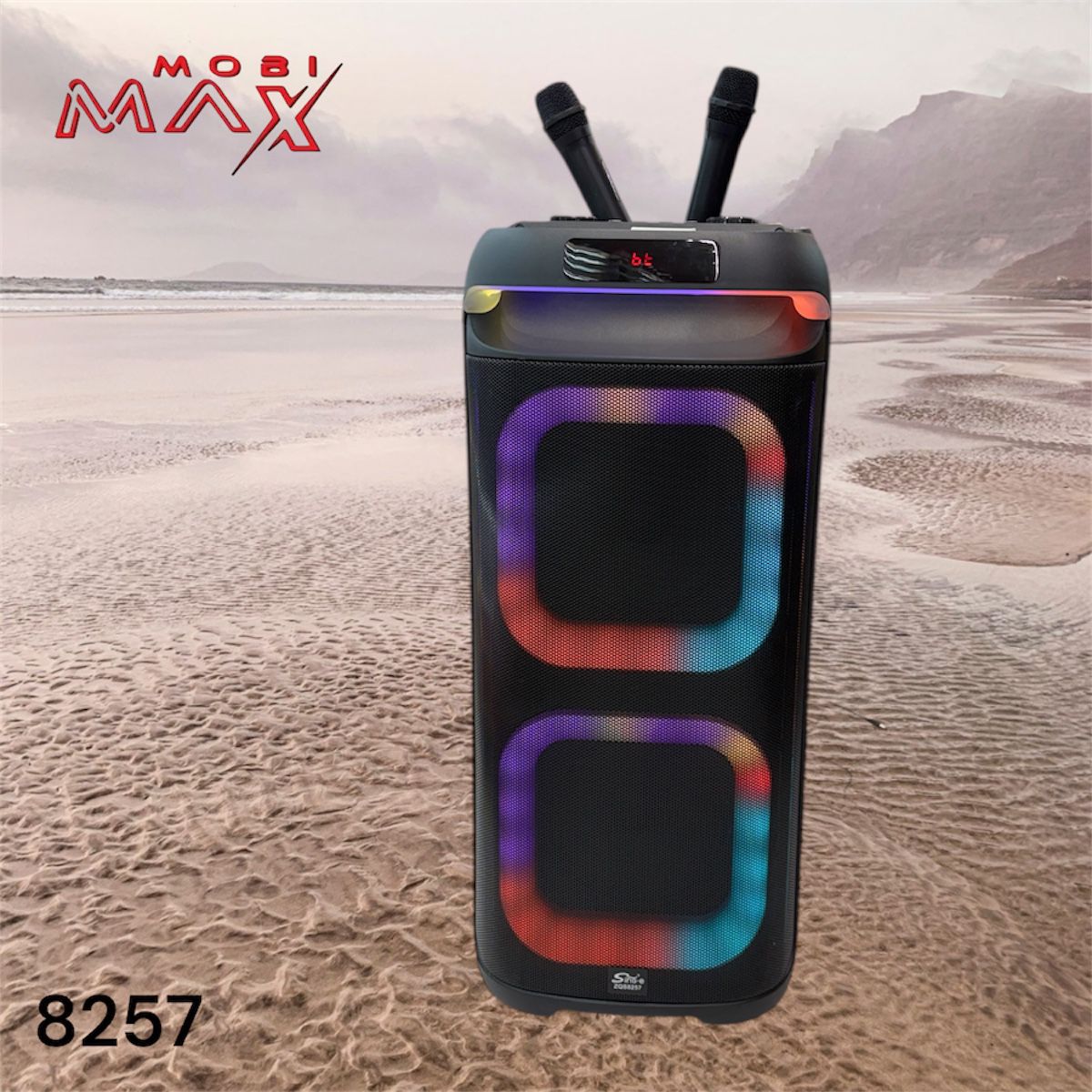 კარაოკე დინამიკი